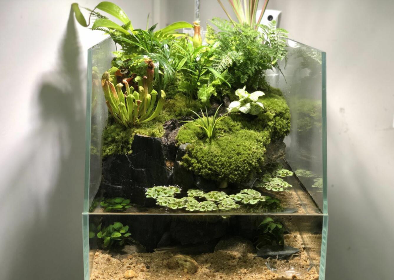 半夜睡不着想改造房间把家拆了,睡不着觉的装修效果图