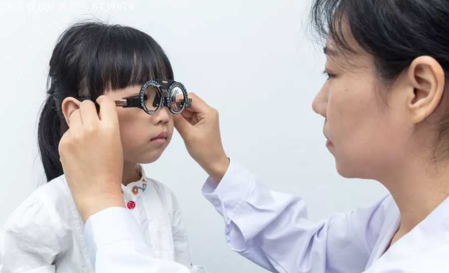 农村有前景的4个赚钱的路子，值得想创业的你选择参考