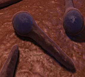 一文读懂水浒,一文读懂脑卒中