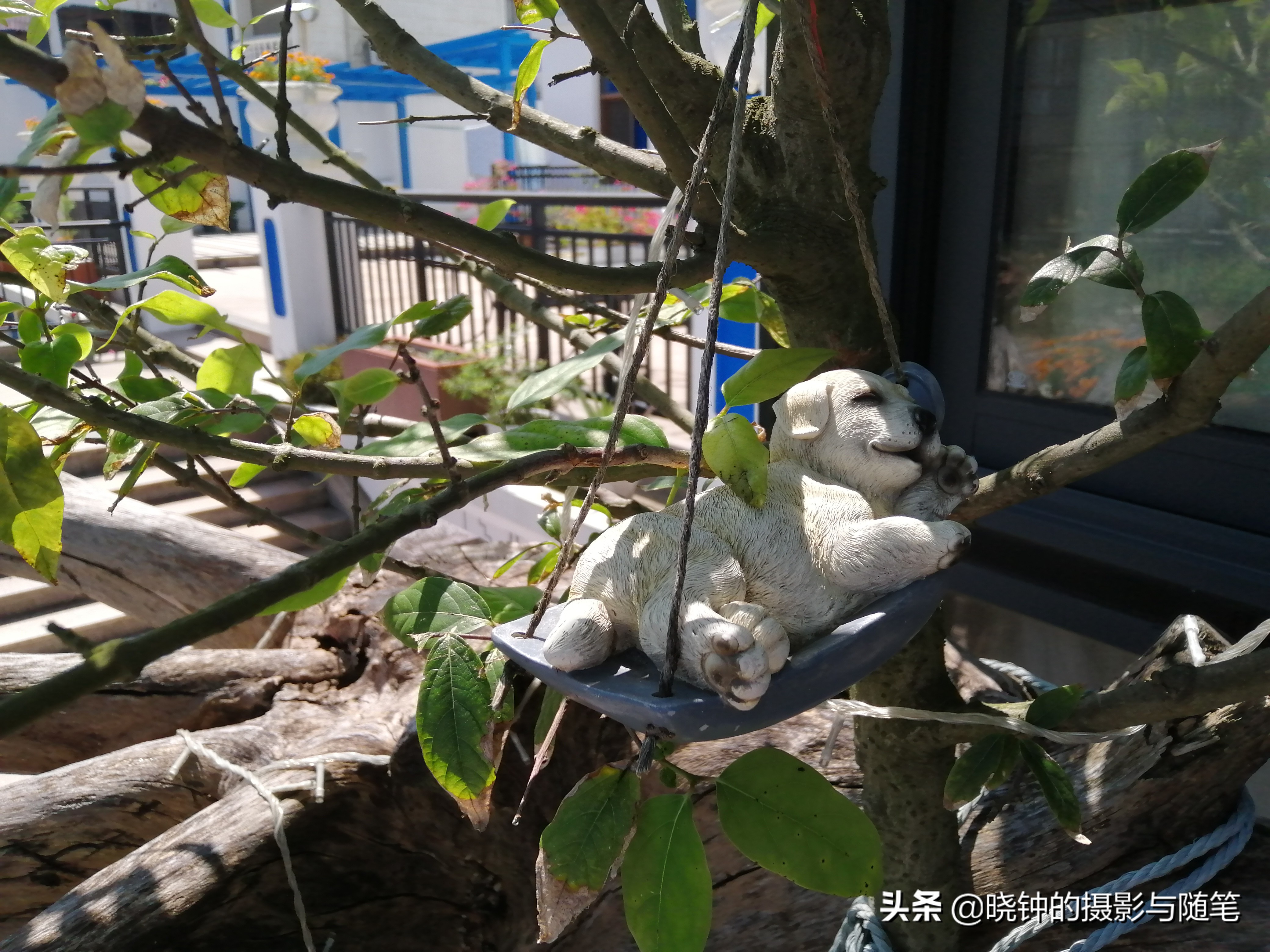 浙江舟山人的幸福生活：住景区、吃海鲜、忙锻炼、慢节奏