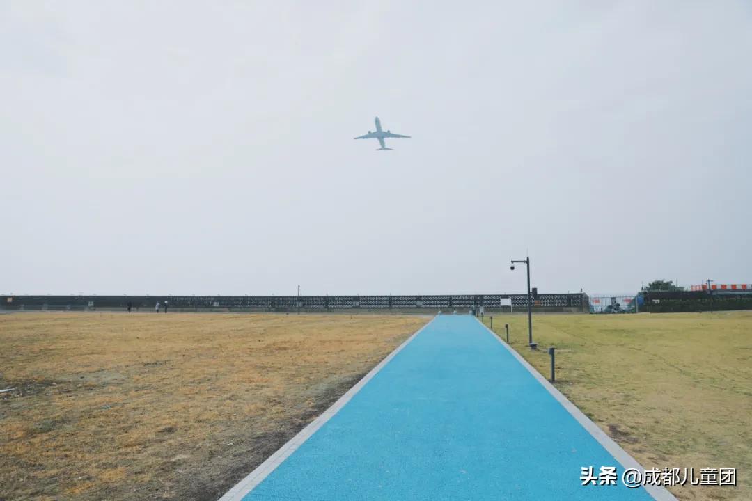 空港运动公园游玩攻略,空港体育公园是空港花田吗