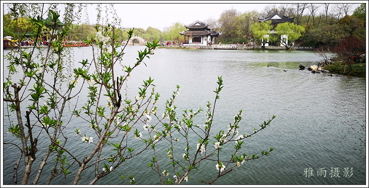 扬州夏日的瘦西湖风景,三月的扬州瘦西湖