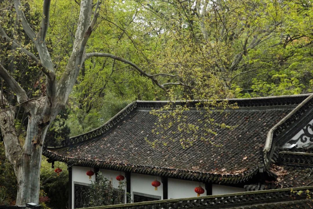 扬州值得吃的地方,扬州有什么值得购买