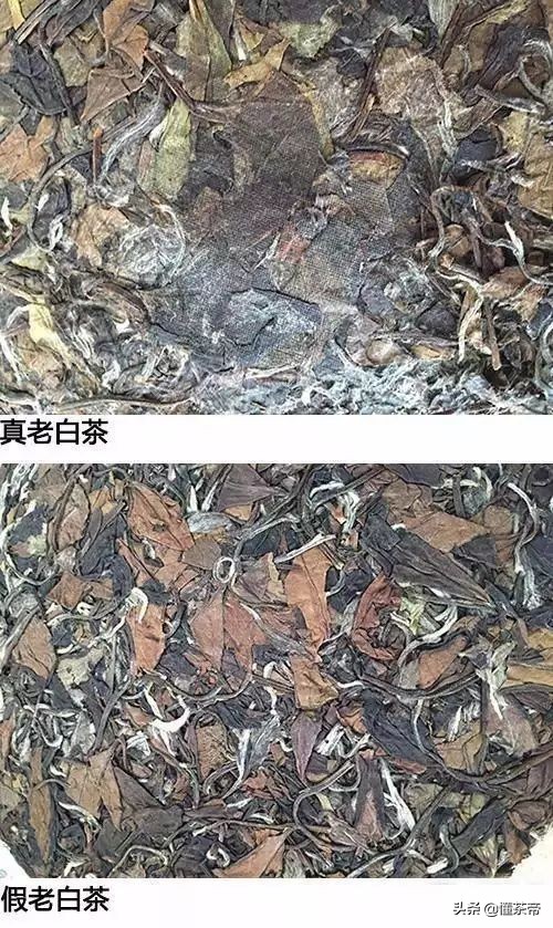 怎么辨别做旧老白茶,学会这6招鉴别新茶和老茶