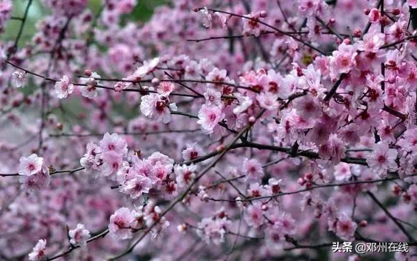 南阳最新重要新闻,河南南阳有什么大事