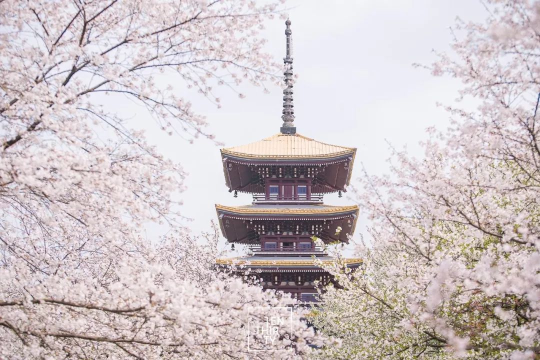 武汉11月打卡景点和网红地,武汉50个值得打卡的地方