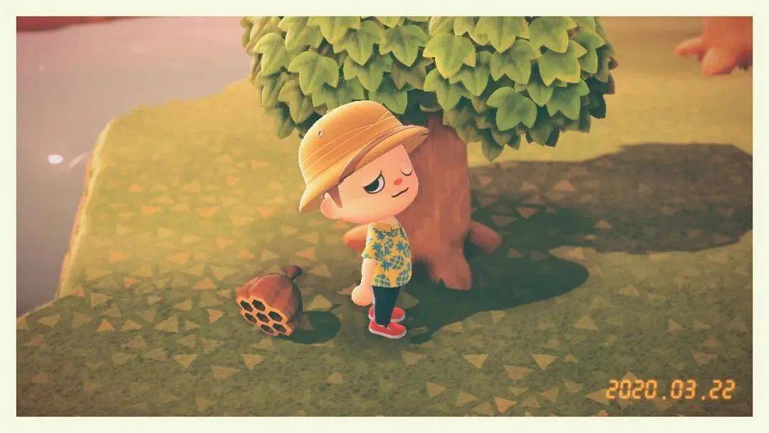 动森为什么这么好看,动森为什么好玩