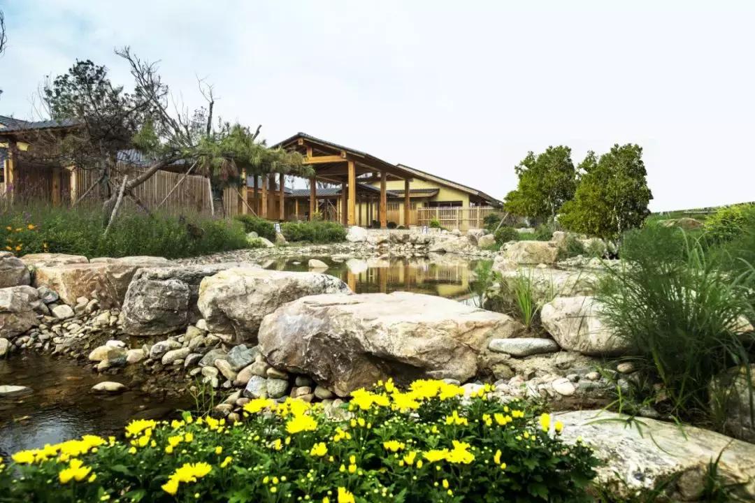 2024沈阳文旅项目,文旅项目能做吗