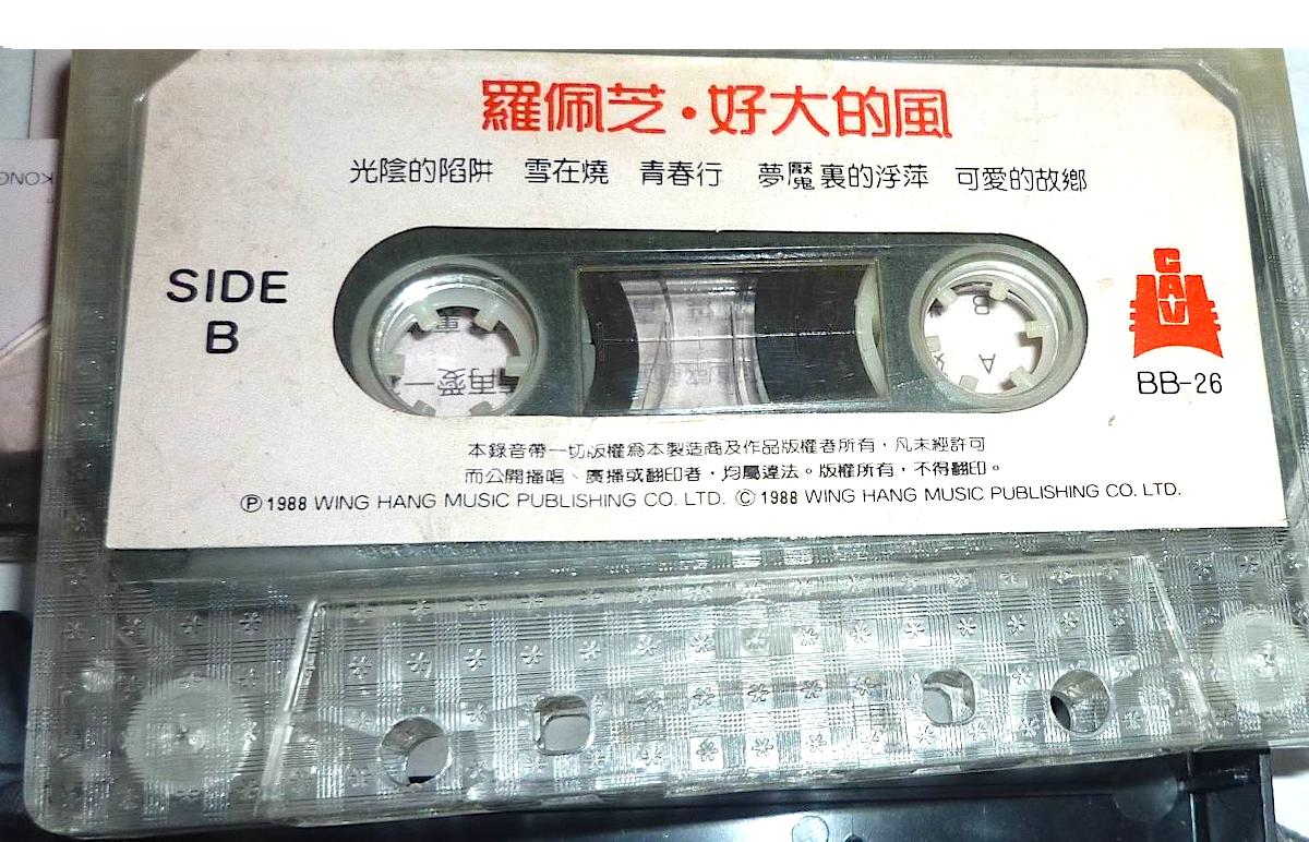 她曾是香港玉女,陈奕迅师姐王菲