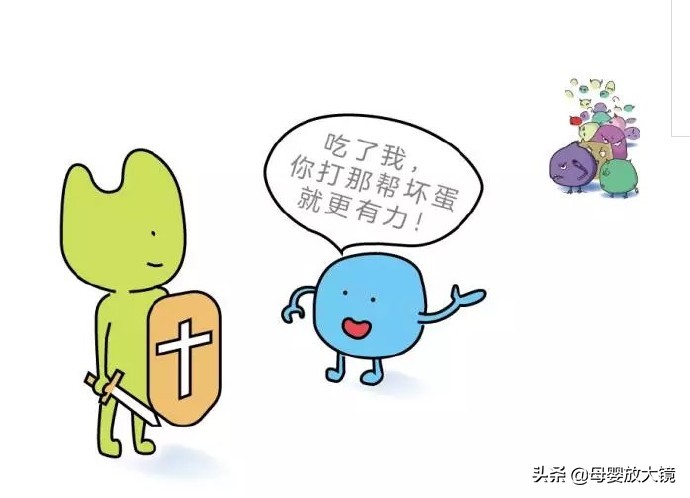 益生菌千万别这么吃,益生菌别乱吃会长胖吗