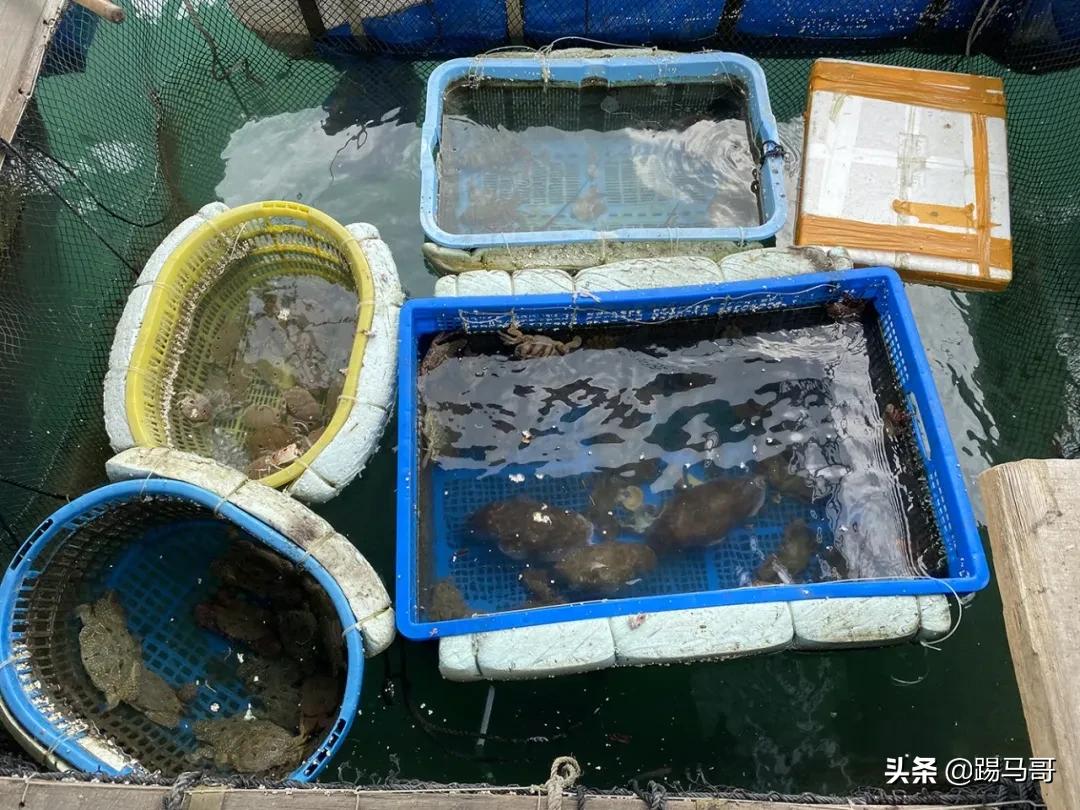 三亚不值得去的地方,三亚不值得去的景点有哪些