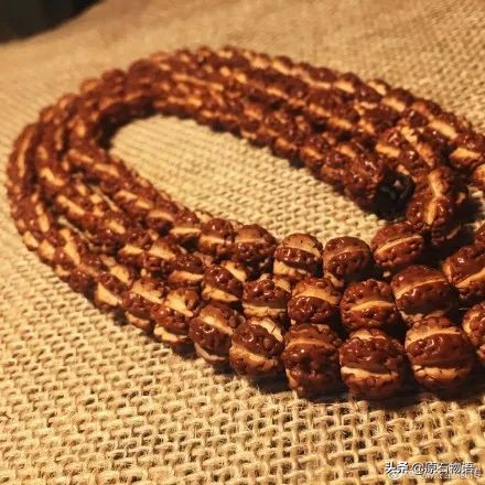 金刚菩提用砂纸磨矮桩,金刚菩提磨漏了怎么办