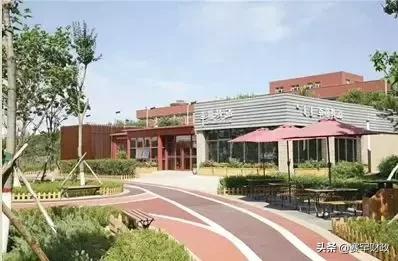 留步！这位少侠，作为呼和浩特人，你还没有“青城公厕宝典”？