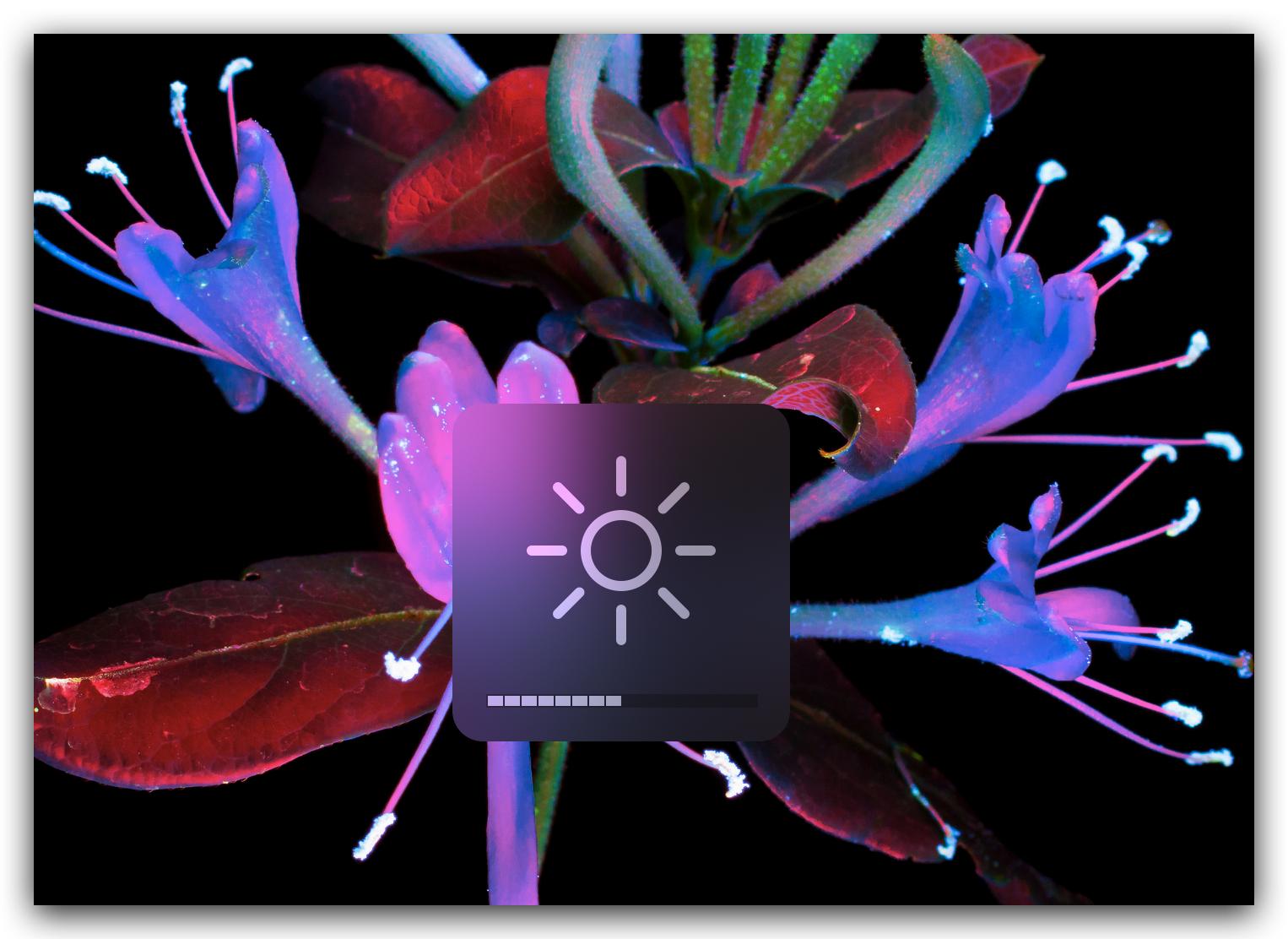 联想电脑能用苹果手机的系统吗,联想电脑可以装苹果系统吗