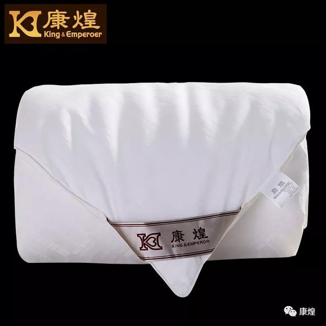 纯手工蚕丝被十大品牌,蚕丝被十大品牌排名官方价格表