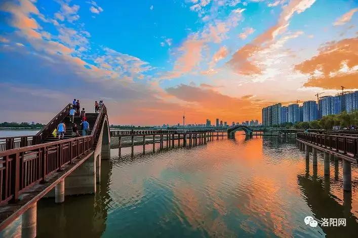 洛阳牡丹花会邀请,洛阳邀请全世界人民看牡丹