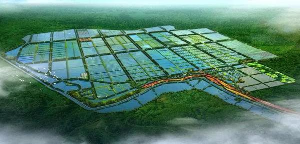 农业农村部28个重点扶持项目,2021农业扶持项目申请条件