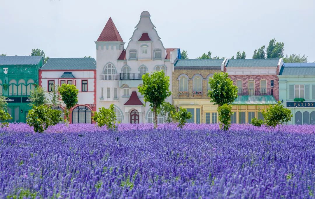 在济南花式避暑，一见“清”心！只需一瞥，便足以把酷夏原谅…
