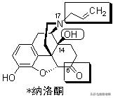 执业药师药物化学结构记忆口诀,初级药师基础知识药物分析