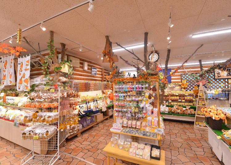 日本藏王狐狸村旅游,宫城县藏王狐狸村