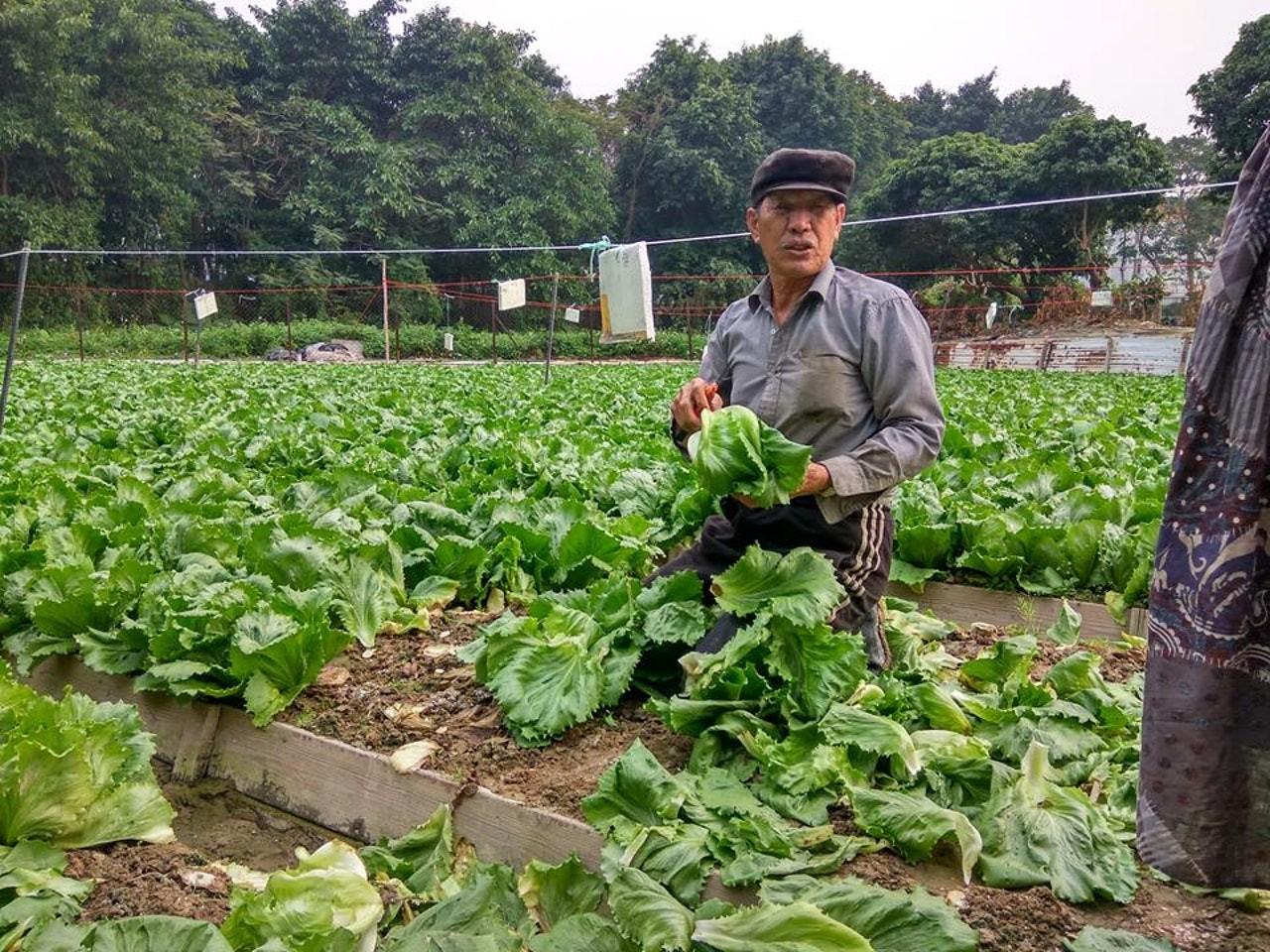 香港有农村人吗生活怎么样,香港有没有农民