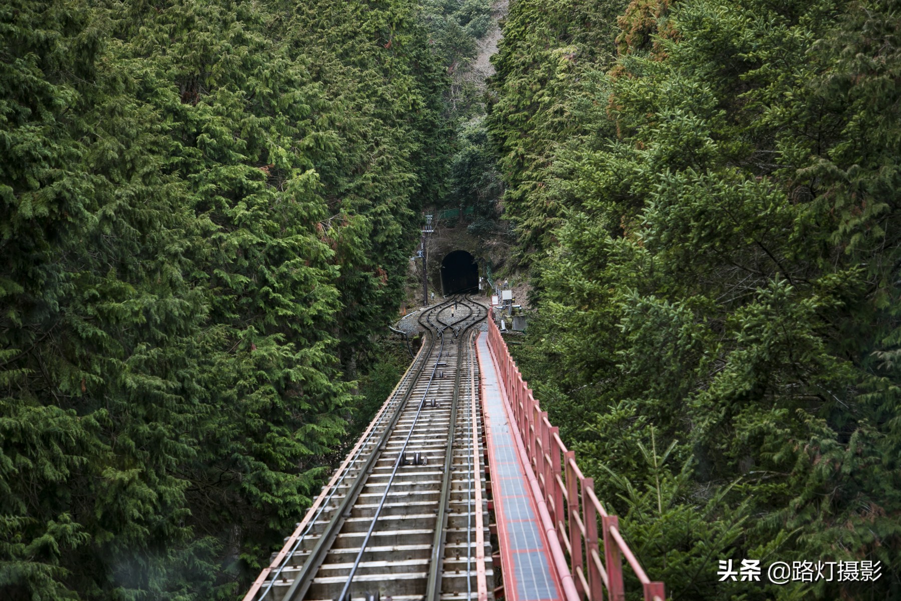 2020日本赏樱花路线,赏樱季去日本看全球最美樱花