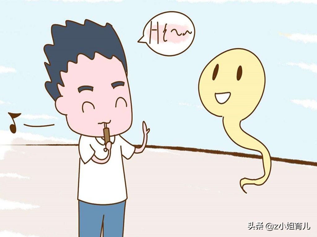 那些没能成功进入子宫的精子都去哪儿了？可能会面临这4个结局