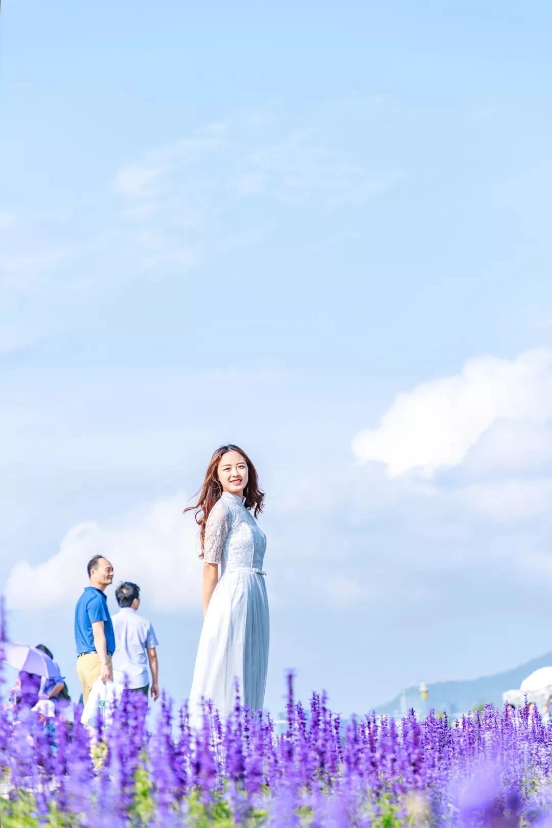 深圳旅游攻略地铁沿线景点,深圳市地铁2号线打卡的24个景点