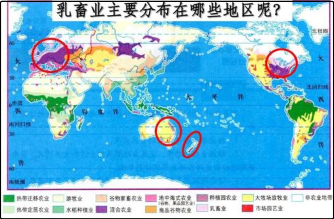 分享下美国物价,公知们爱美国究竟爱的是什么