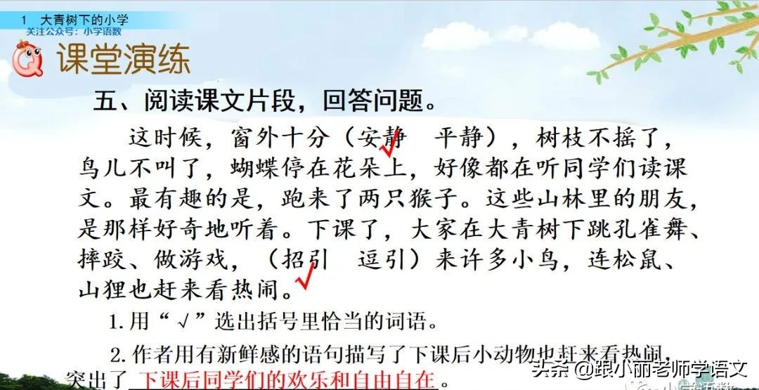 大青树下的小学重要背诵内容,大青树下的小学重点知识点