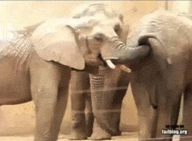 无套也能避孕？没想到古人是这样避孕！