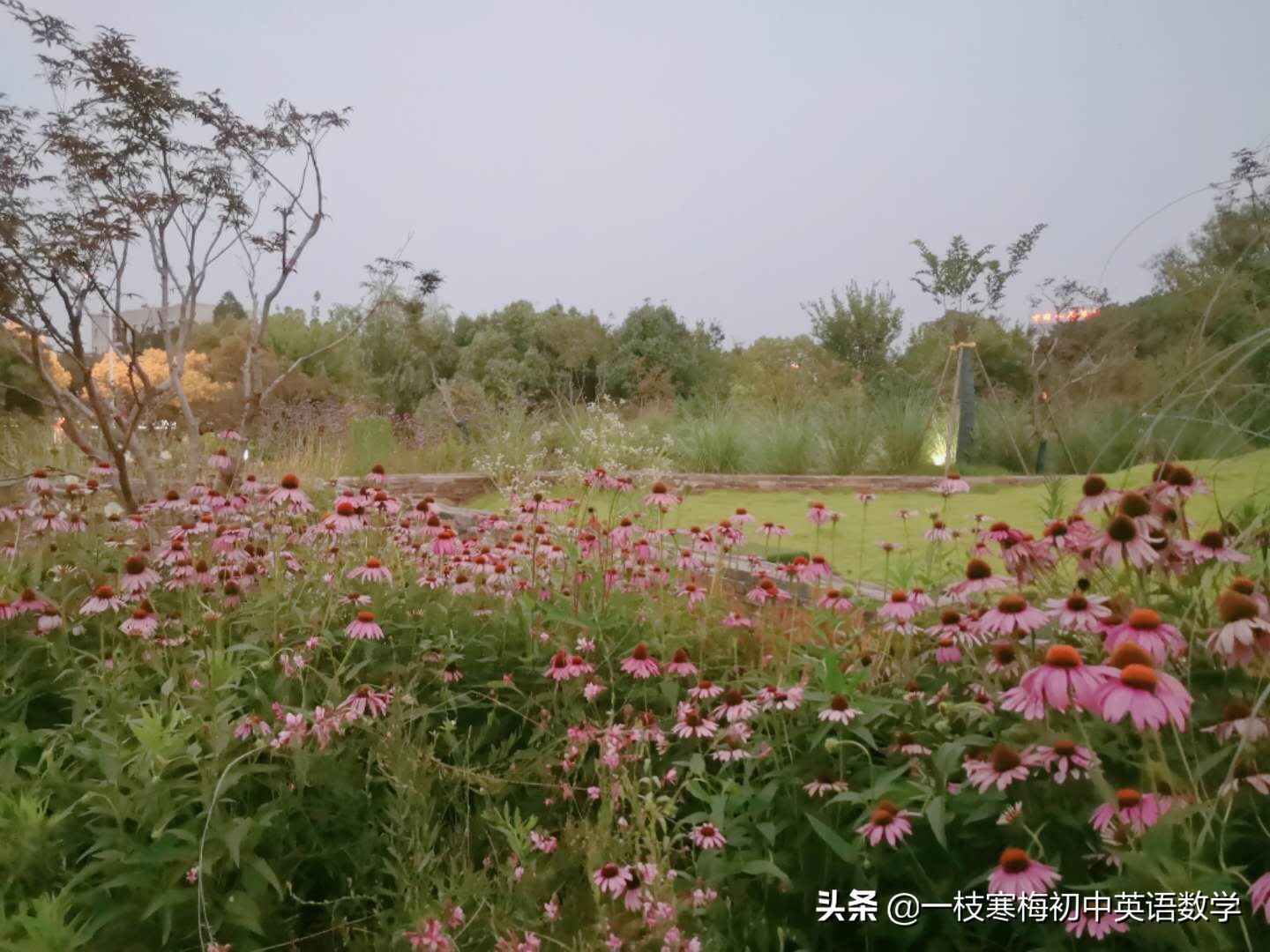 仁爱版八年级上册英语课文topic1,仁爱版英语八上unit1topic1知识点