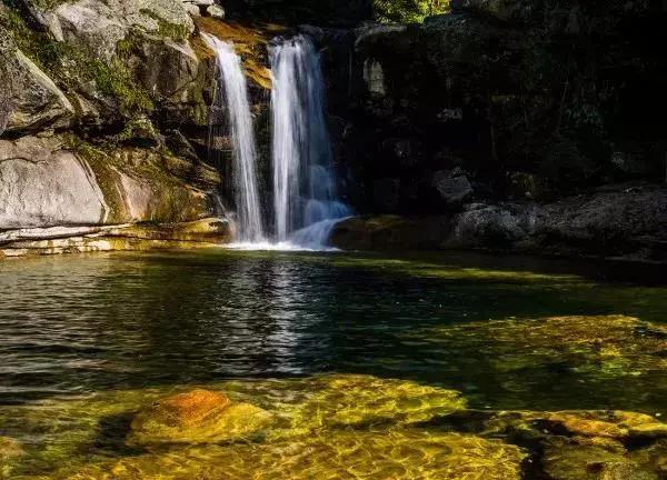 巴中南江要火了！入选国家生态示范县