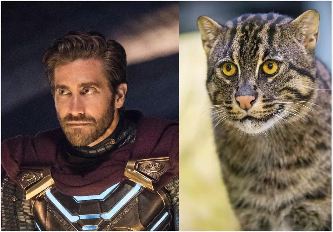 蜘蛛侠英雄远征钢铁侠变成僵尸,蜘蛛侠英雄远征和归来有什么区别