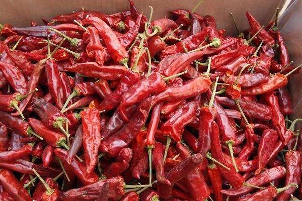 各种干辣椒品种哪种香,各种干辣椒品种和特点