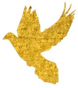 爱贝少儿英语活动,爱贝英语开学