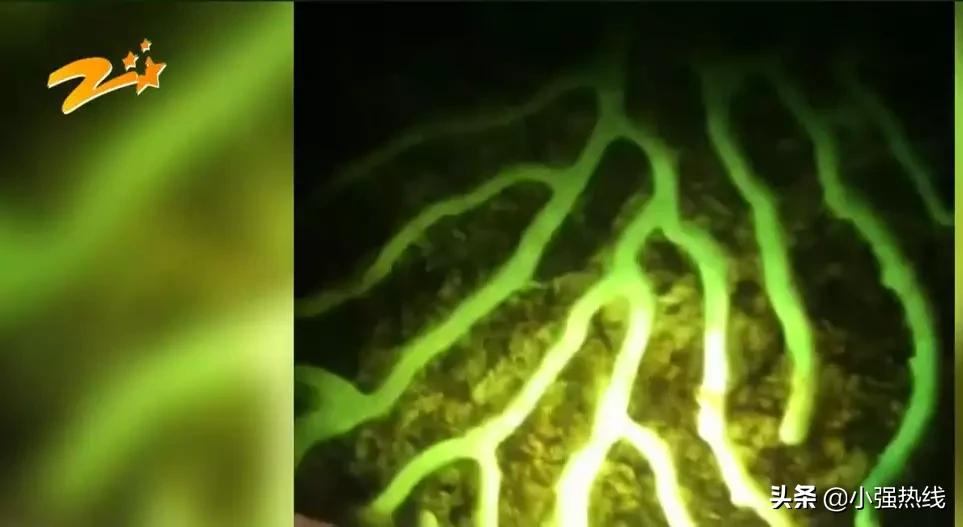 直播间里翡翠买回来不好看,直播间买翡翠货不对板