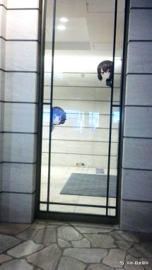 江苏舜天足球俱乐部外援,江苏舜天新外援是谁