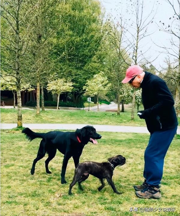 亚洲10大*男美**今昔颜值对比，有人美黑过度，有人不老冻龄，差距大