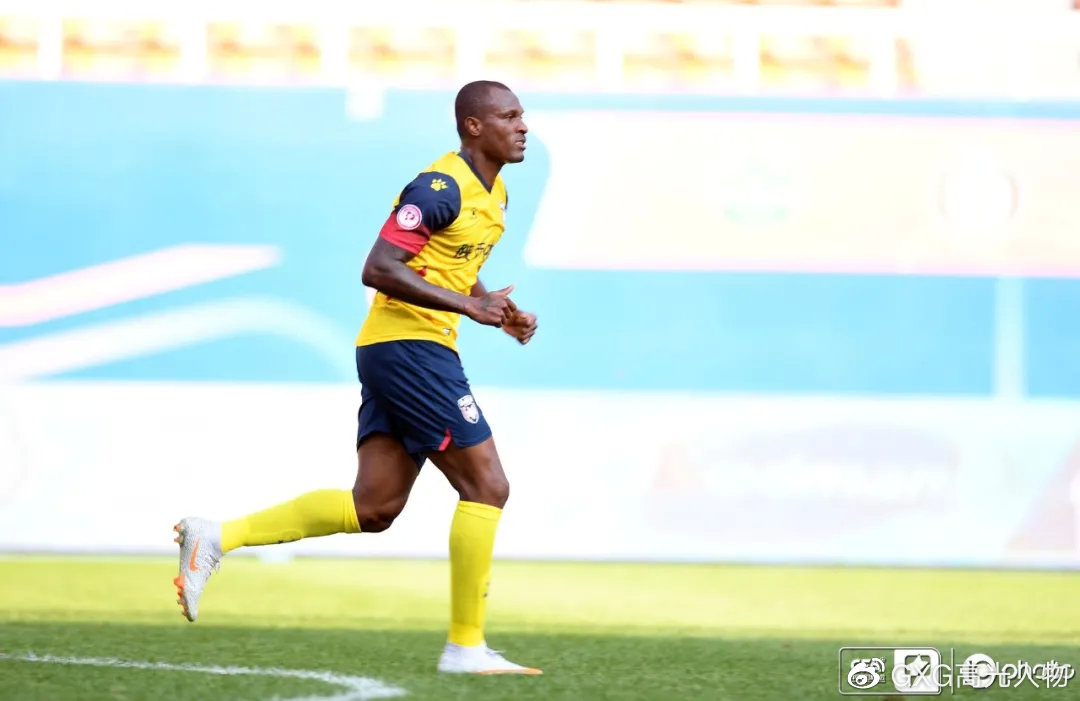 西北狼vs西伯利亚狼,西北狼vs犀牛