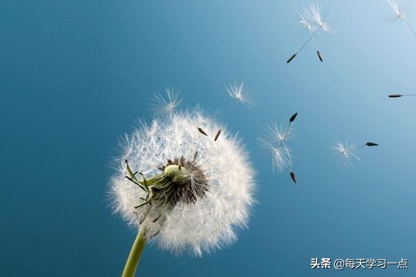 太容易走神分心了怎么办,经常走神如何解决