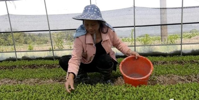 有特色接地气致富快龙岩市长汀县涂坊镇激励性产业扶贫成效明显