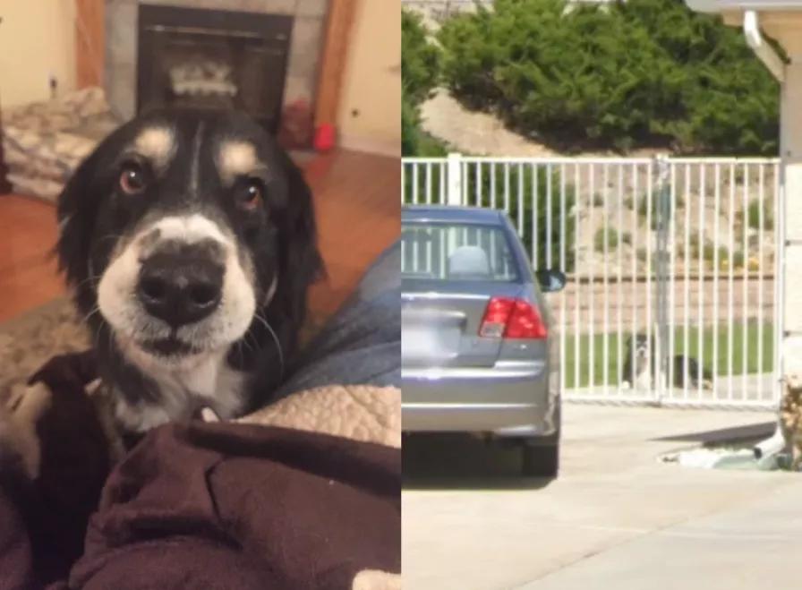 在“谷歌街景”里寻找逝去回忆的人们