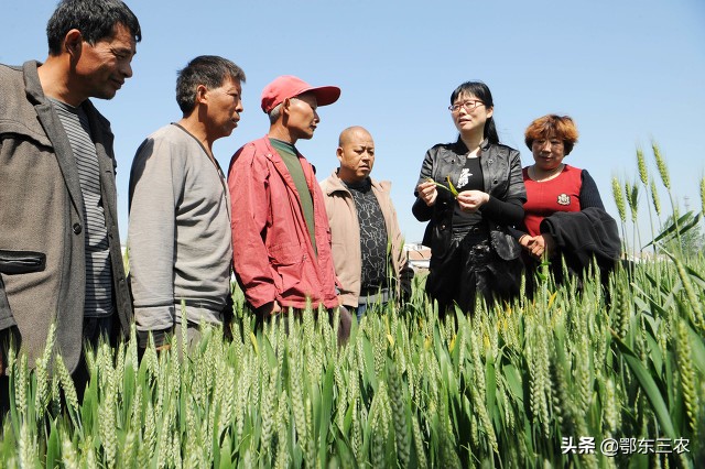 农村住人忌讳什么风水,农村老话为什么恩爱夫妻难到头