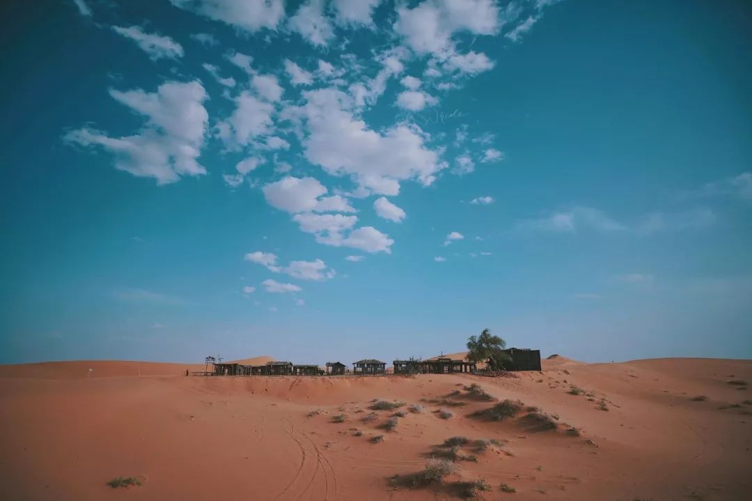 可盐可甜是哪首歌的歌词,可盐可甜出自哪