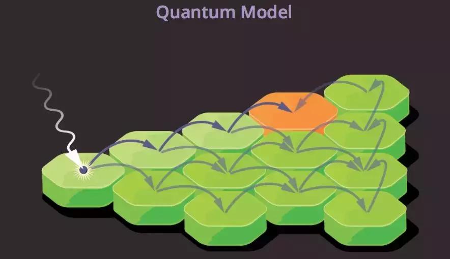 量子力学对生物的影响,可怕的量子生物学