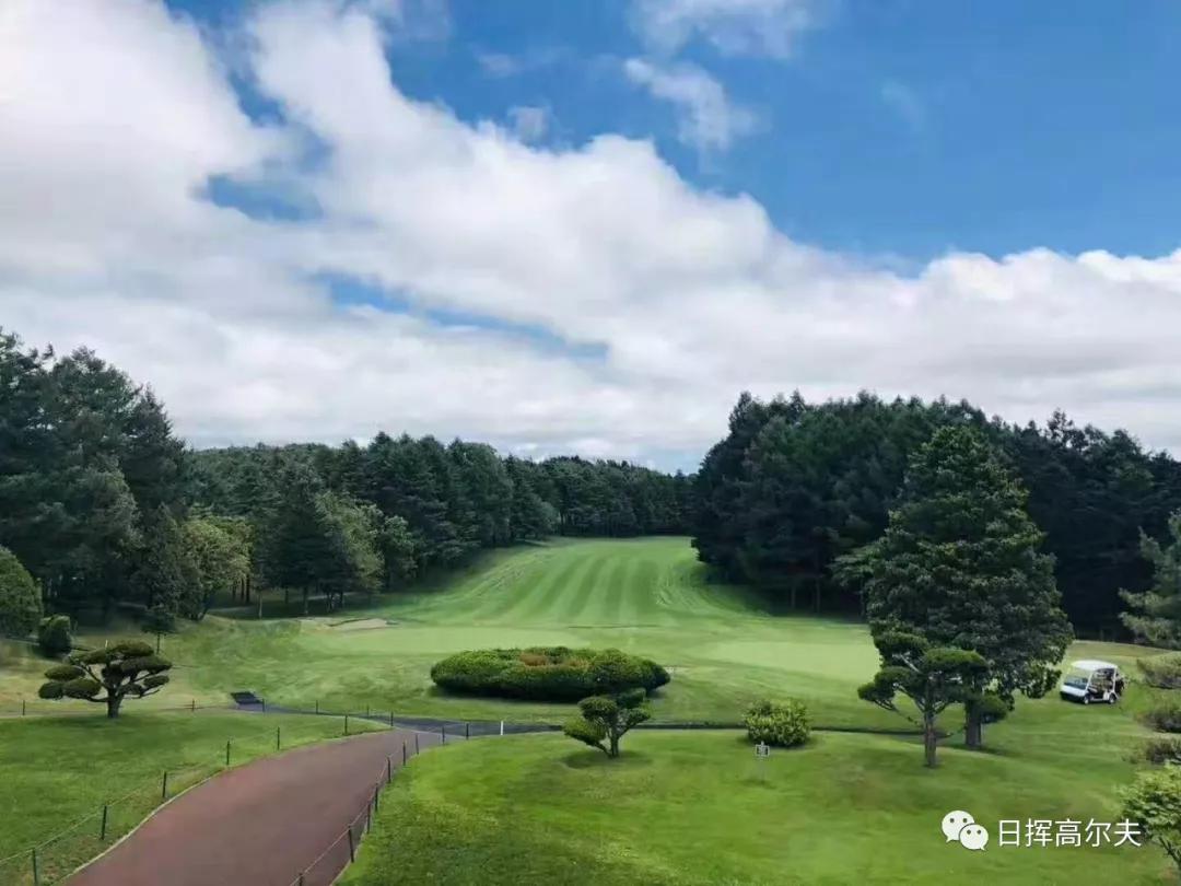 高尔夫球基本知识,高尔夫球的知识