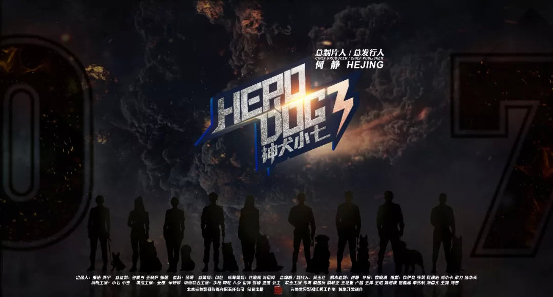 在军旅和萌宠之间跳跃自如，何静详述差异化制片方*论法**