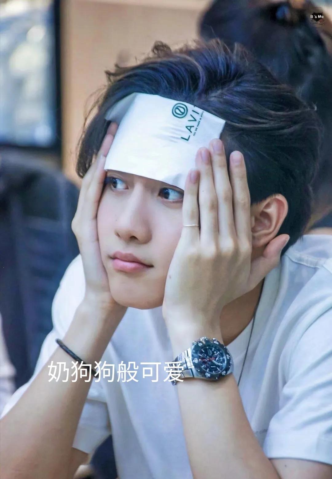 泰星陈瑞书个人资料,泰国明星评价陈瑞书