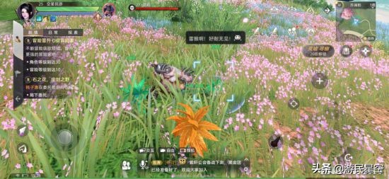 mmorpg到底玩什么,mmorpg为什么取消等级